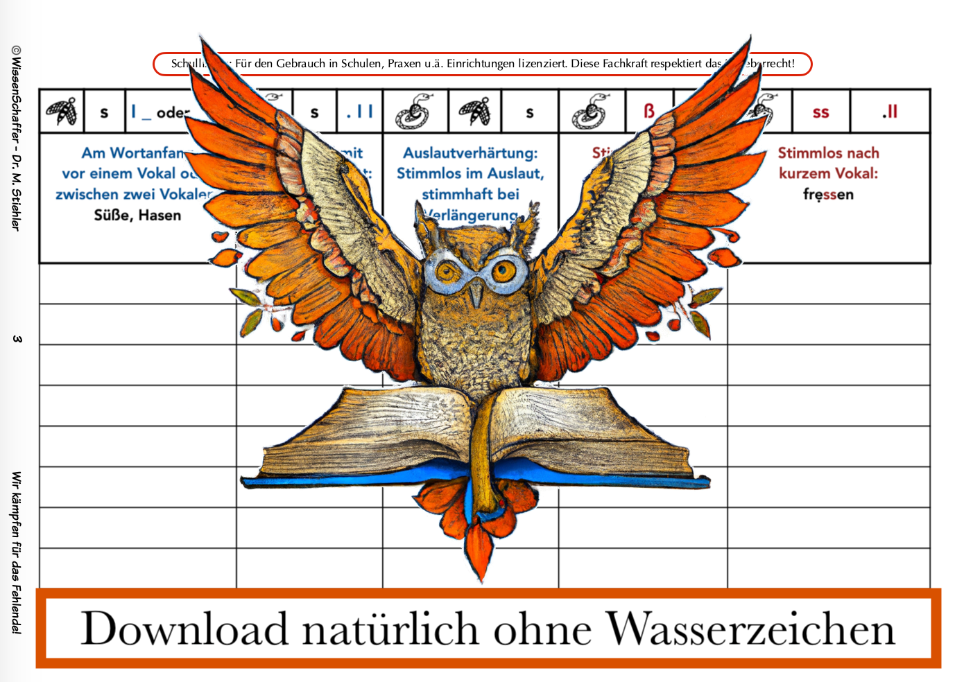 Fehlerhelden-Diktate zu s/ss/ß (Level 4)