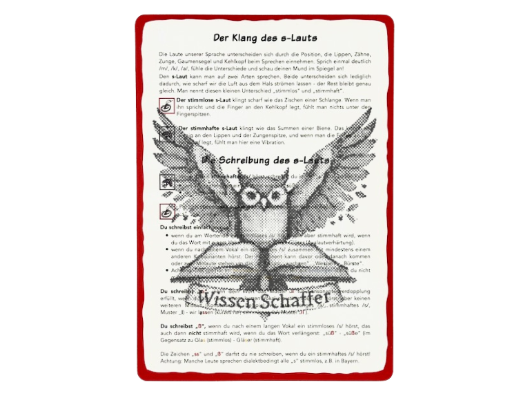 Regelkarte zu s / ss / ß: Die Hornissen-Regel