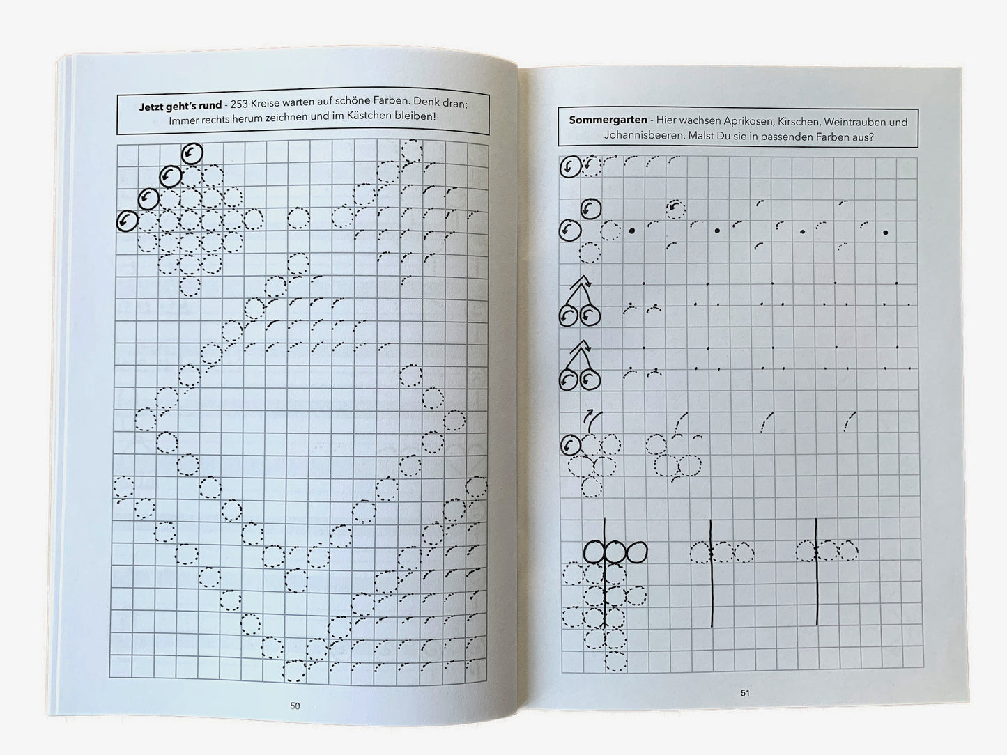 Das buchstabenfreie Schreiblernheft: Mit spitzem Stift zu schöner Schrift