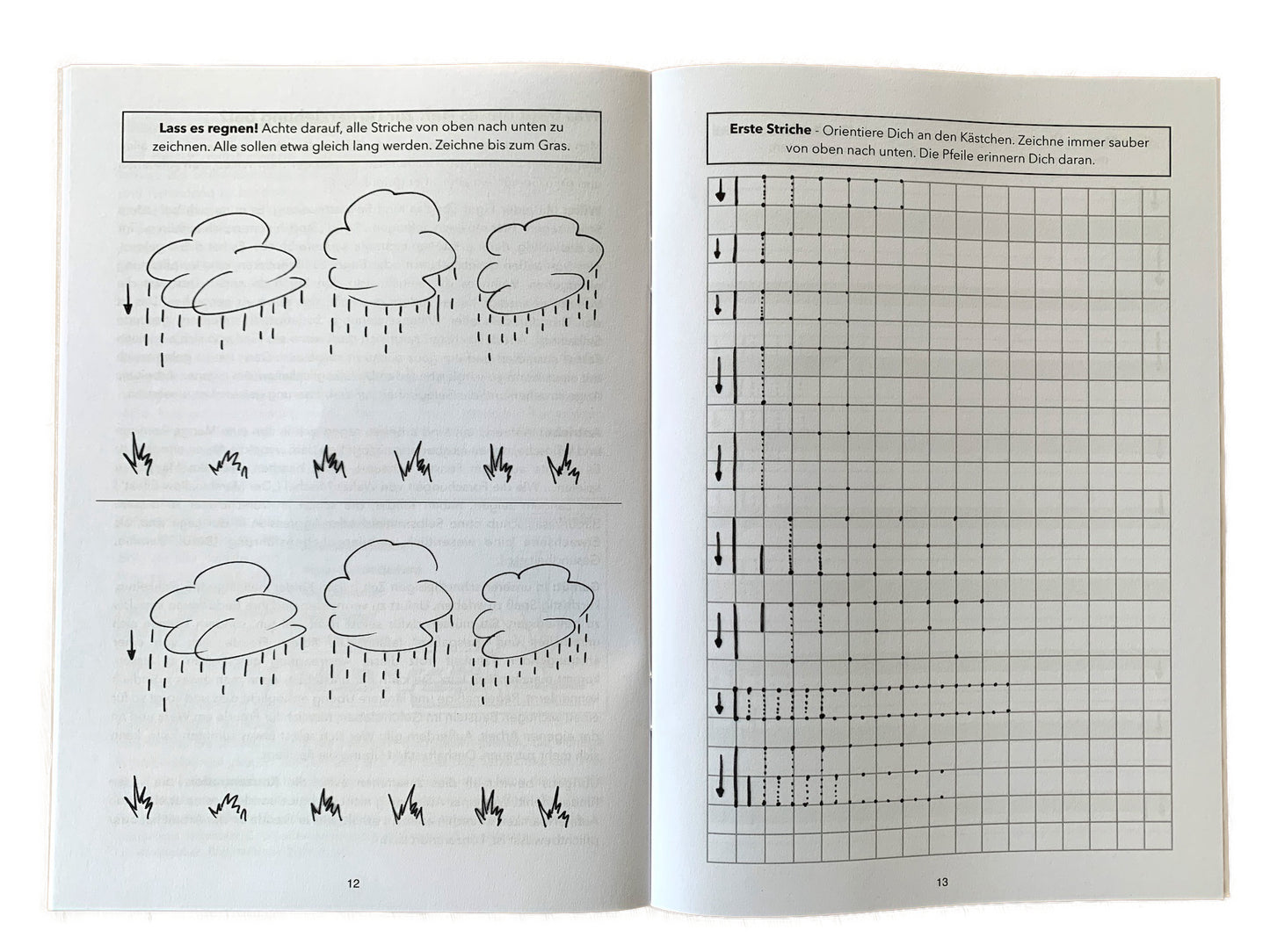 Das buchstabenfreie Schreiblernheft: Mit spitzem Stift zu schöner Schrift