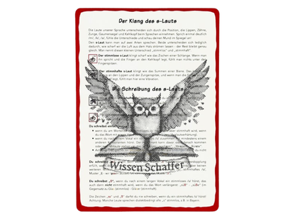 Regelkarte zu s / ss / ß: Die Hornissen-Regel