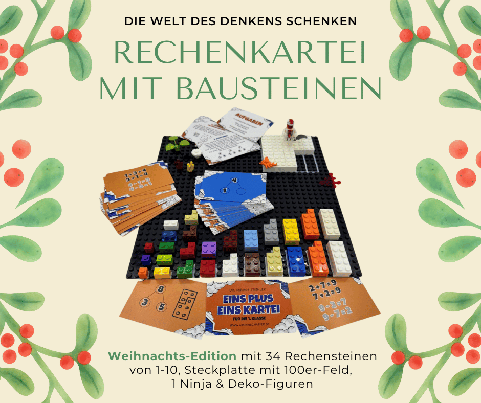 EinsPlusEins Kartei - 80 Karten + 20 exklusive Rechensteine